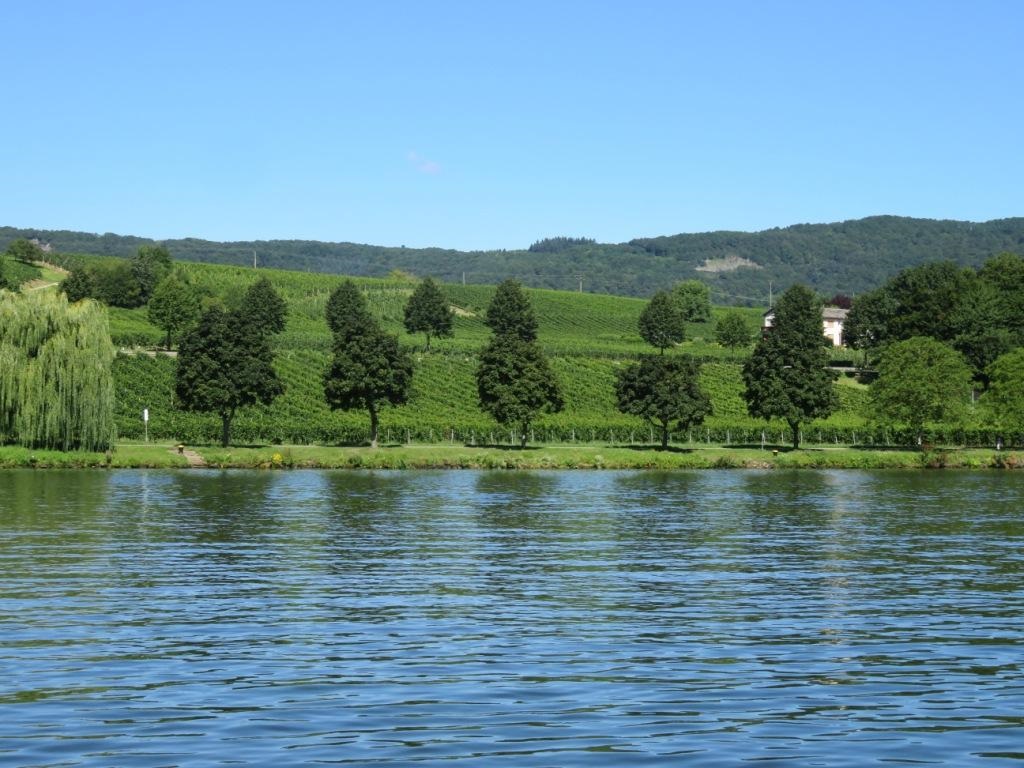 LA MOSELLE