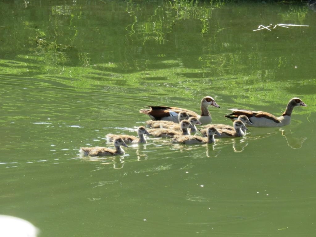 LA FAMILLE COMPLèTE