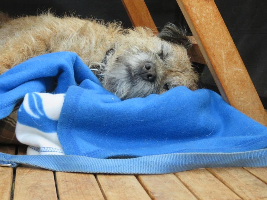 HEURE DE LA SIESTE