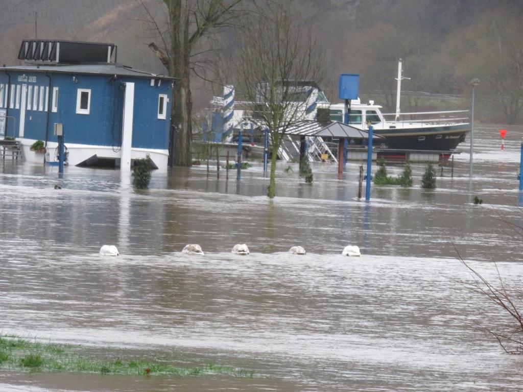 sanitaire sous eau 
