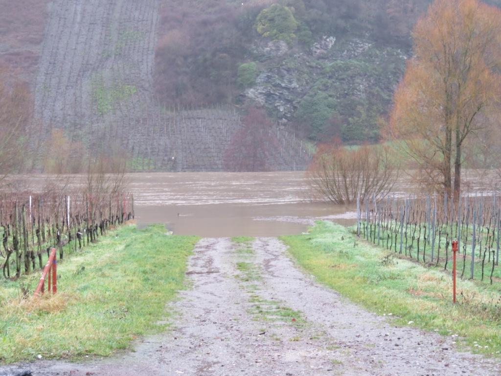 Neumagen-Dhron - le slip pour bateaux