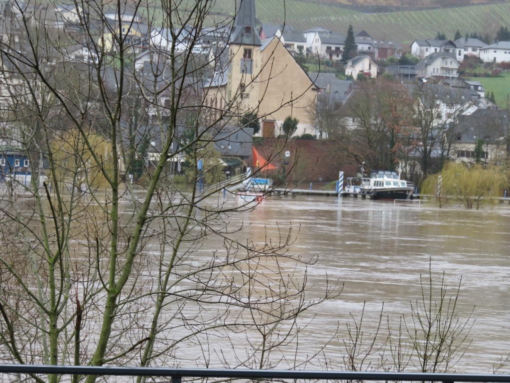 Port de Neumagen-Dhron