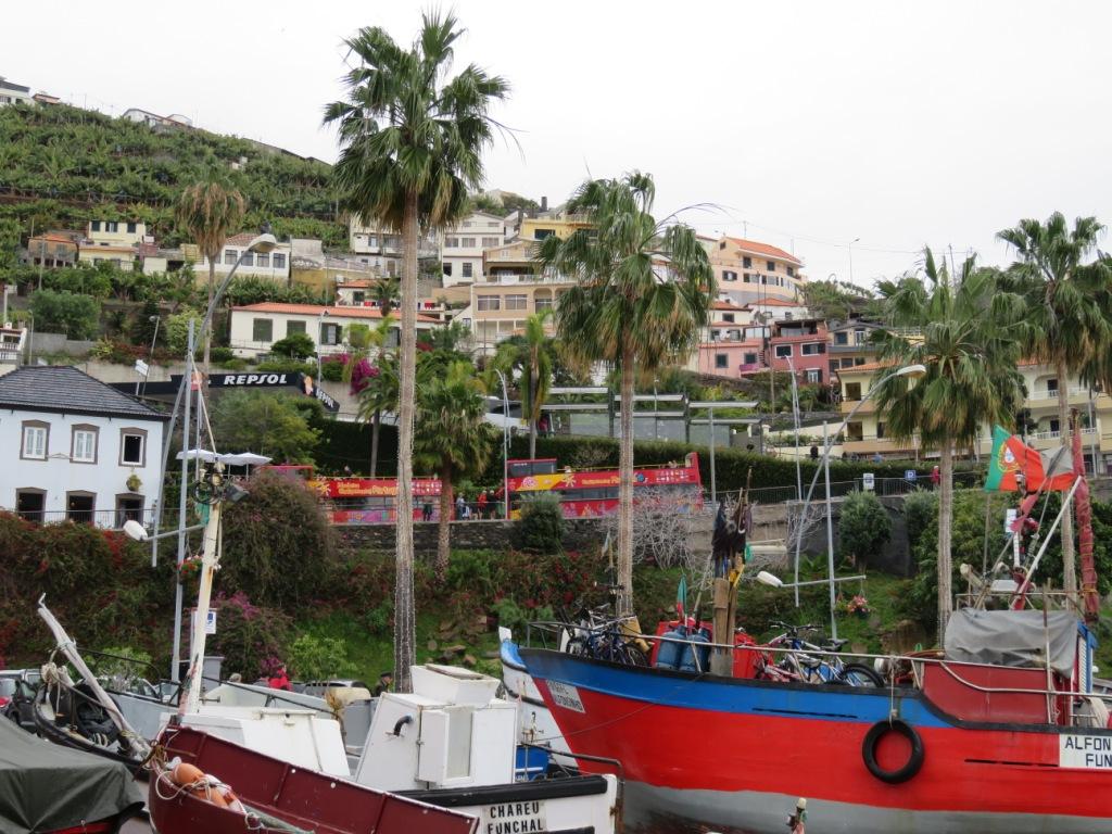 Port de Camara de Lobos