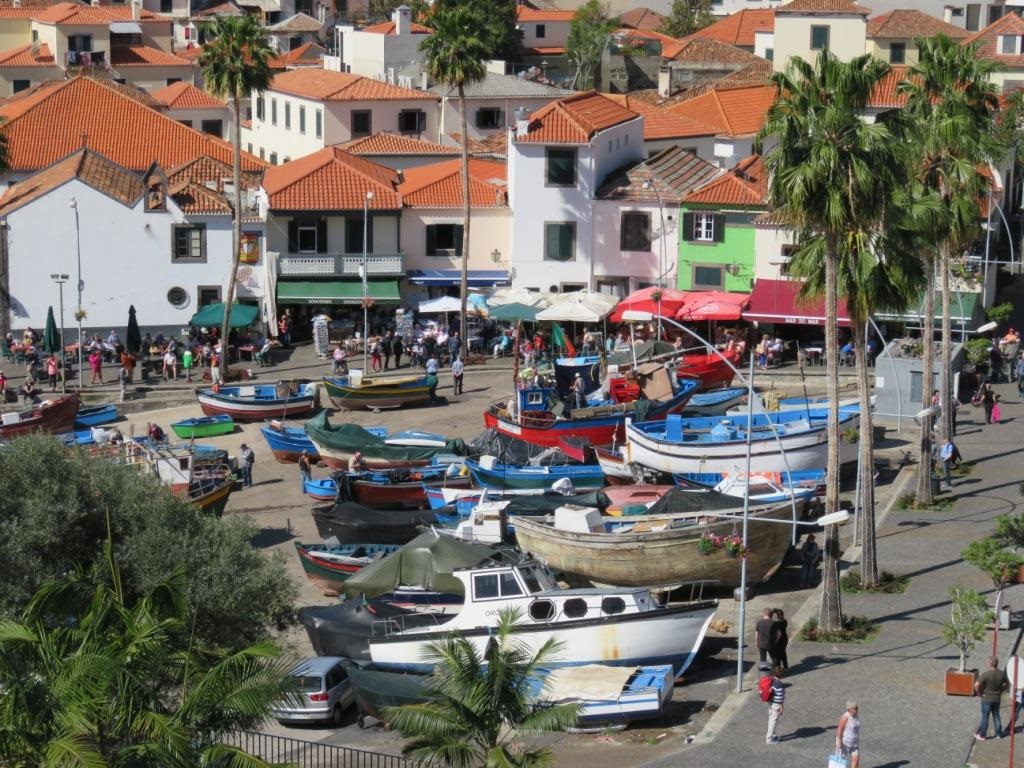 Camara de lobos