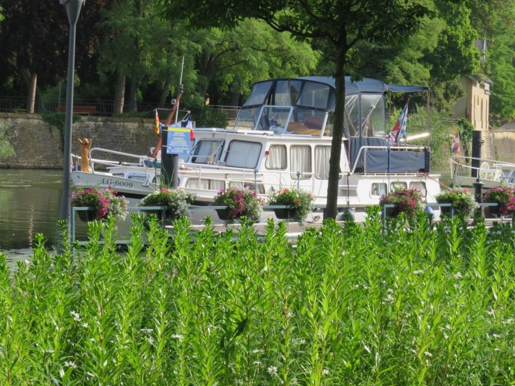 DANS LA VERDURE