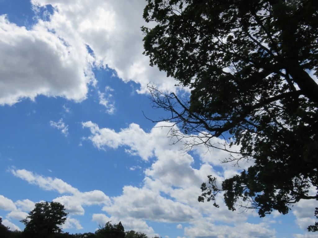 CIEL BLEU AVEC NUAGES