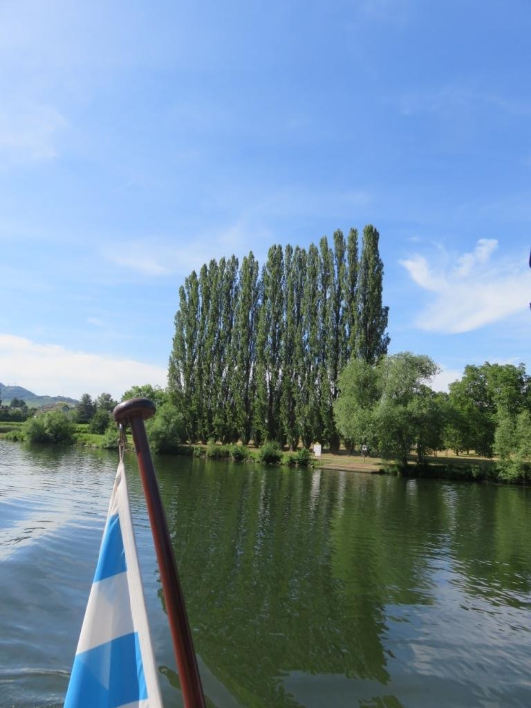 PAYSAGE SUR LA MOSELLE