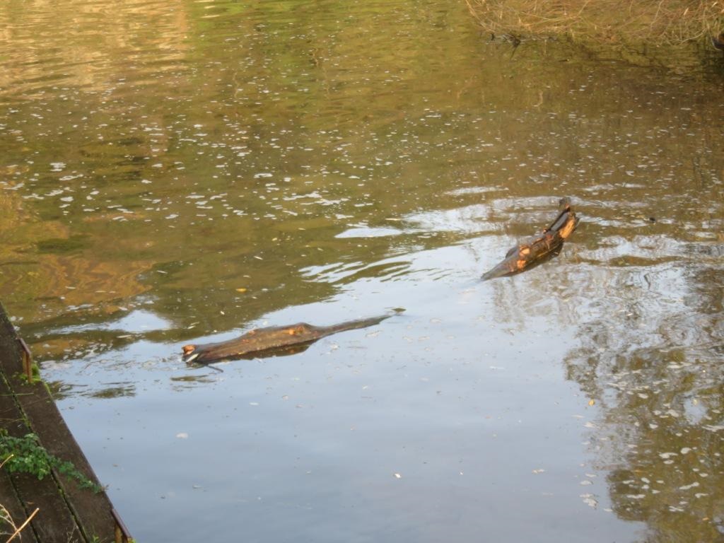 DEVANT L'ENTRéE DU SLIP