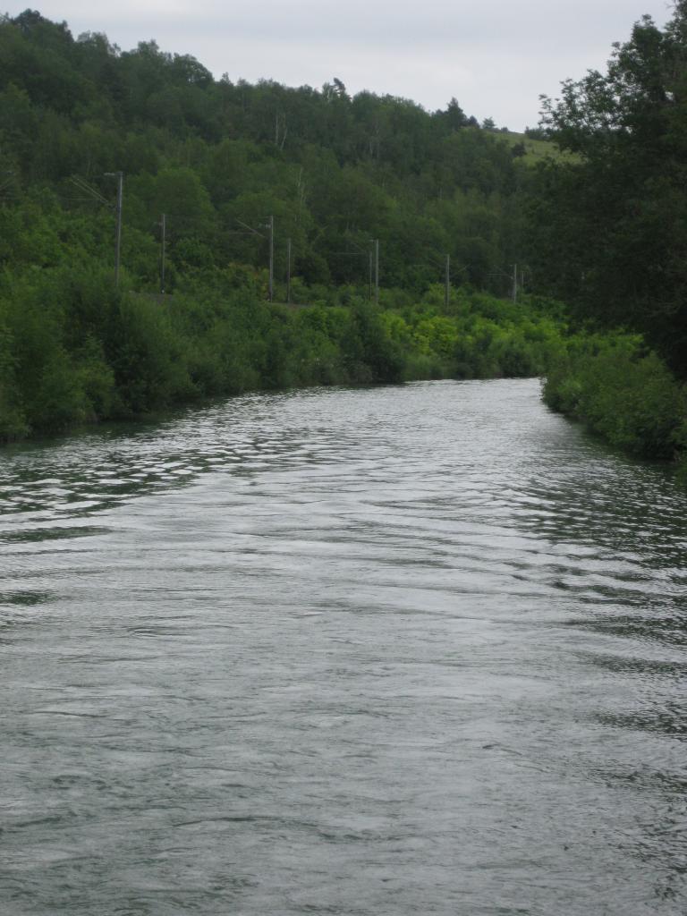 BEAU PAYSAGE SUR LE CANAL DE LA MEUSE