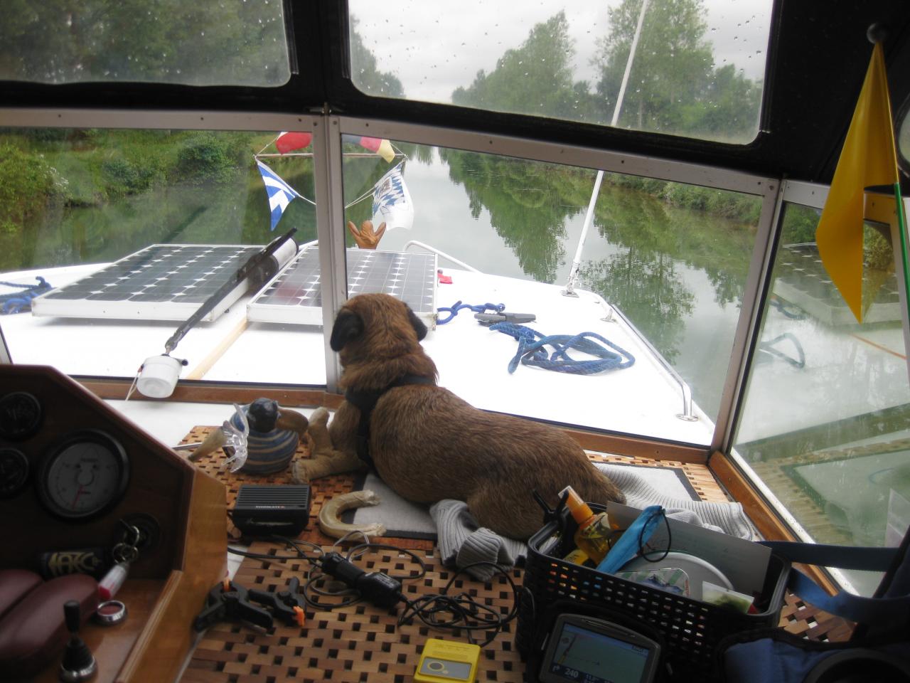 ELVIS ADMIRE LE PAYSAGE