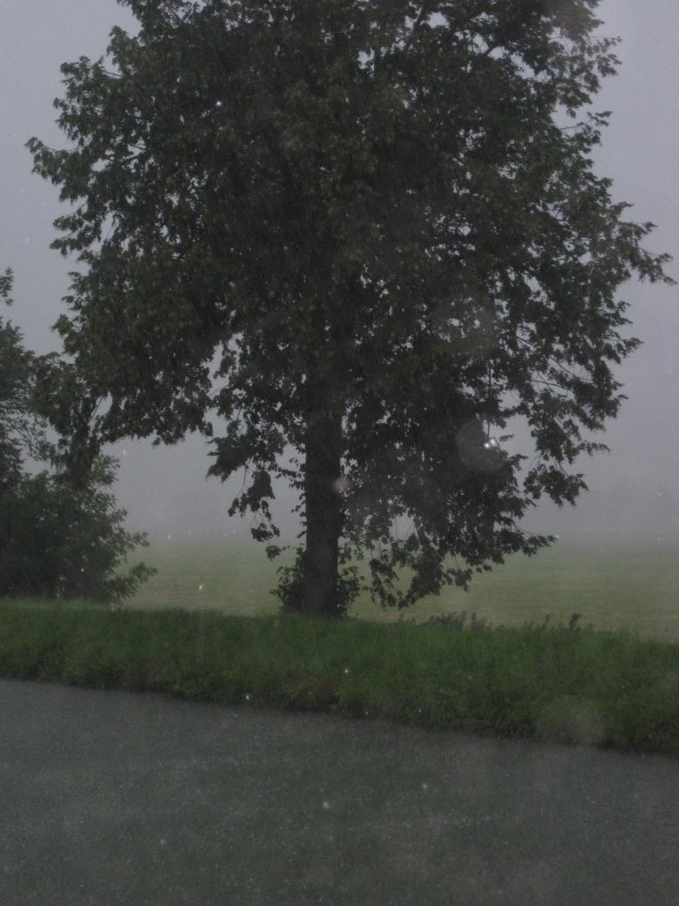 MEUSE JULY 2011 247