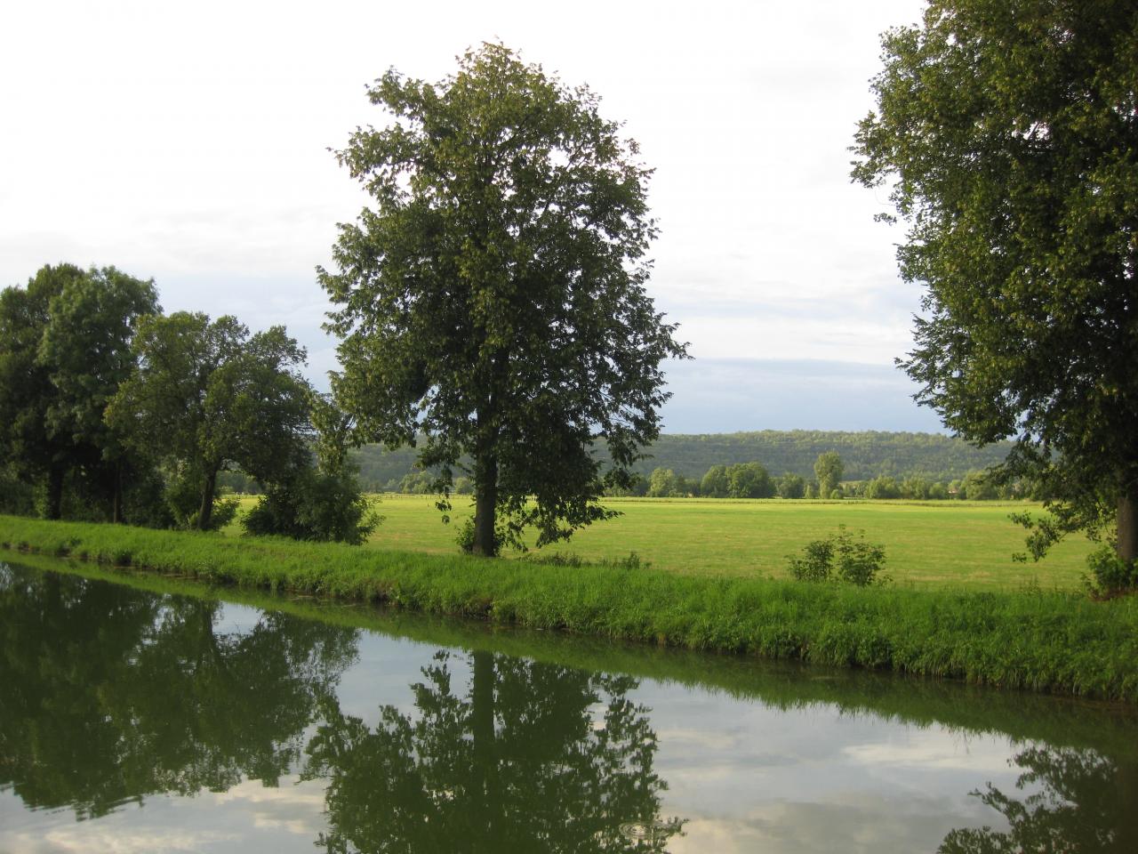 APRÈS LA PLUIE... LE BEA TEMPS