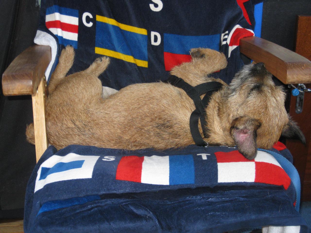 ET LA SIESTE CONTINUE