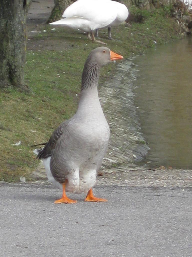 AGATHE VIENT NOUS SALUER