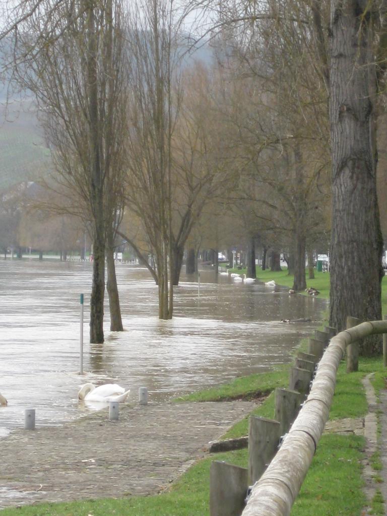 MOSELLE APRÈS REMICH