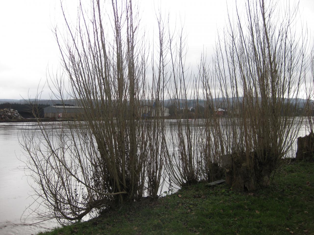 DU PORT