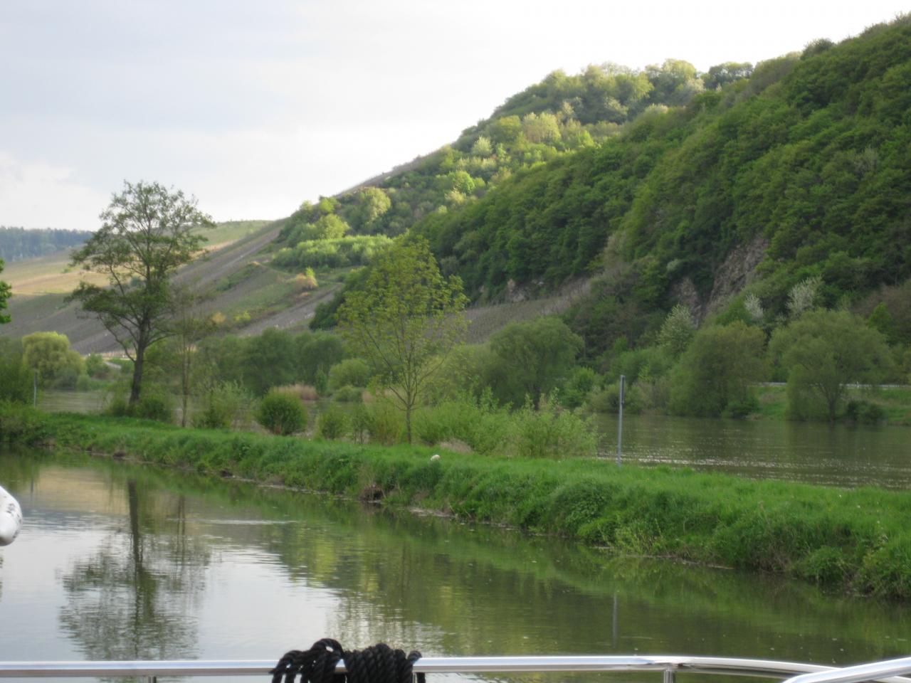MOSELLE TOUJOURS HAUTE