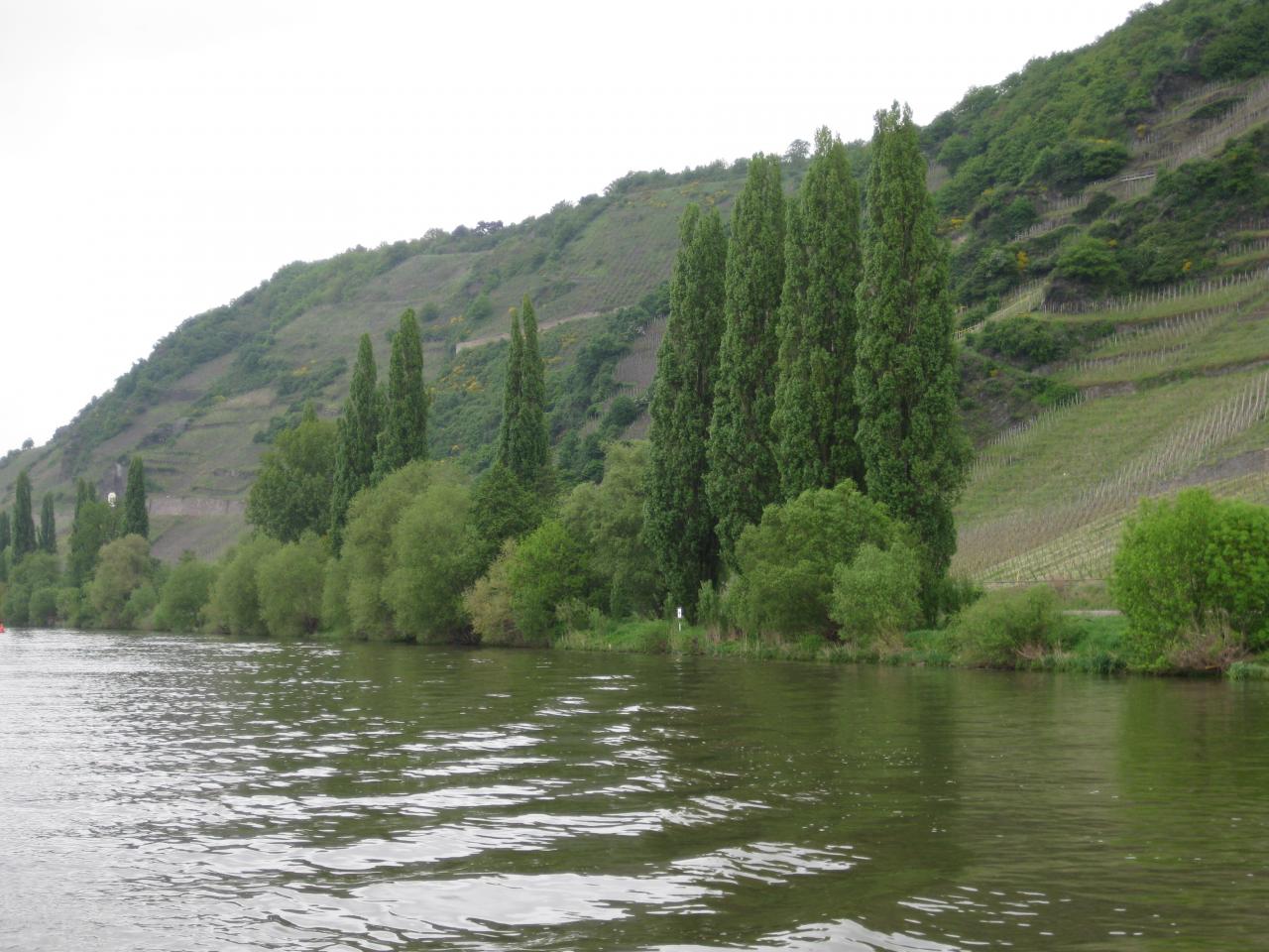 LA MOSELLE