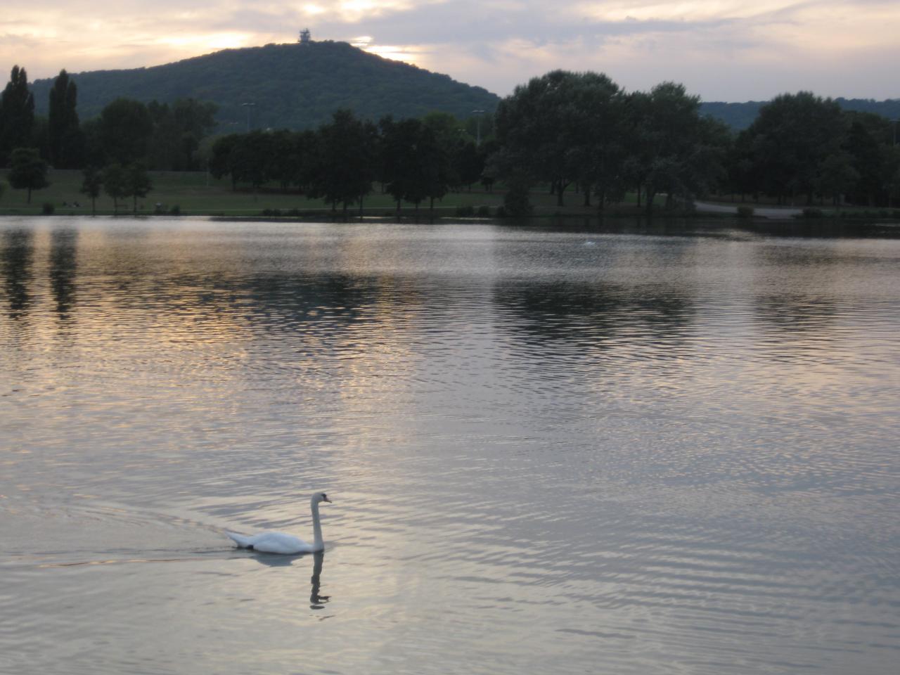 VUE TRANQUILLE SUR LE PLAN D'EAU DE METZ
