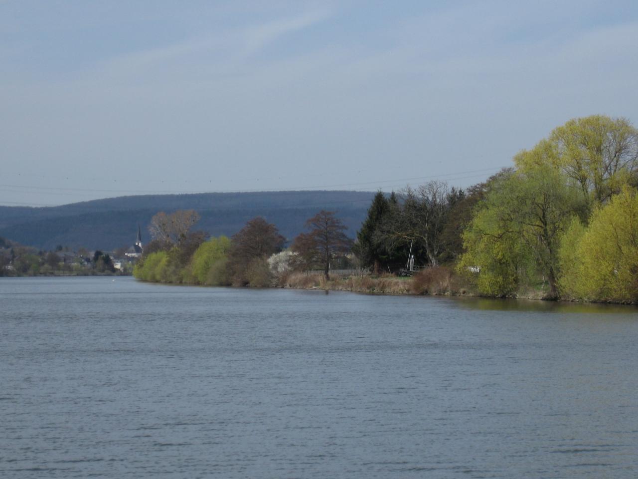 LES BERGES DE LA MOSELLE