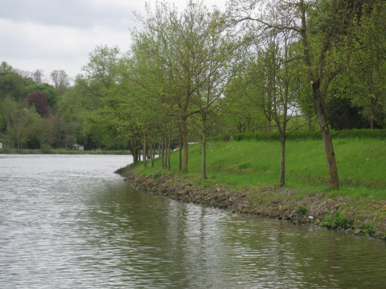 Rives de la Moselle Luxembourgeoise