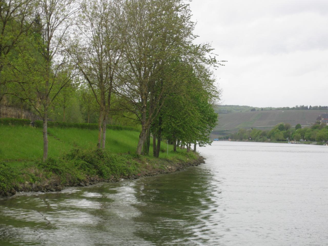  Rives de la Moselle Luxembourgeoise
