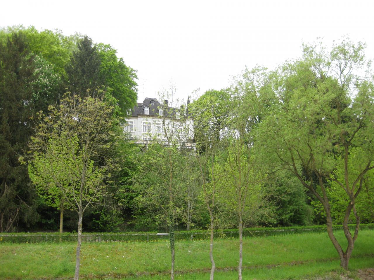  Rives de la Moselle Luxembourgeoise