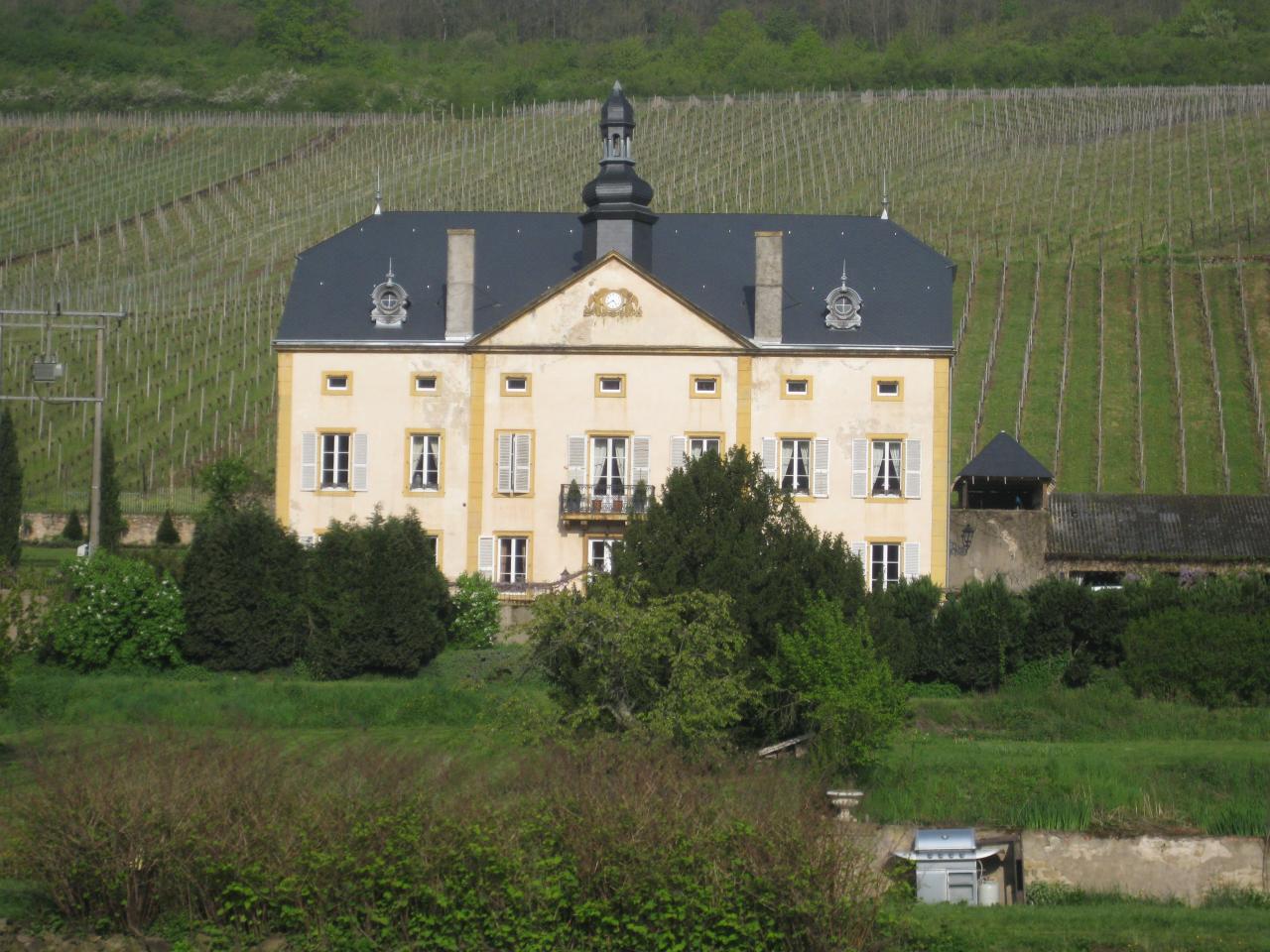 au bord de la Moselle