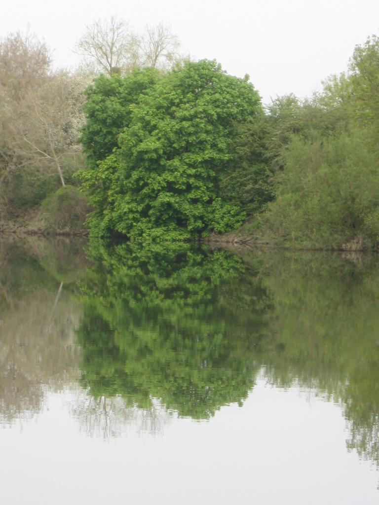 Rives de la Moselle Luxembourgeoise