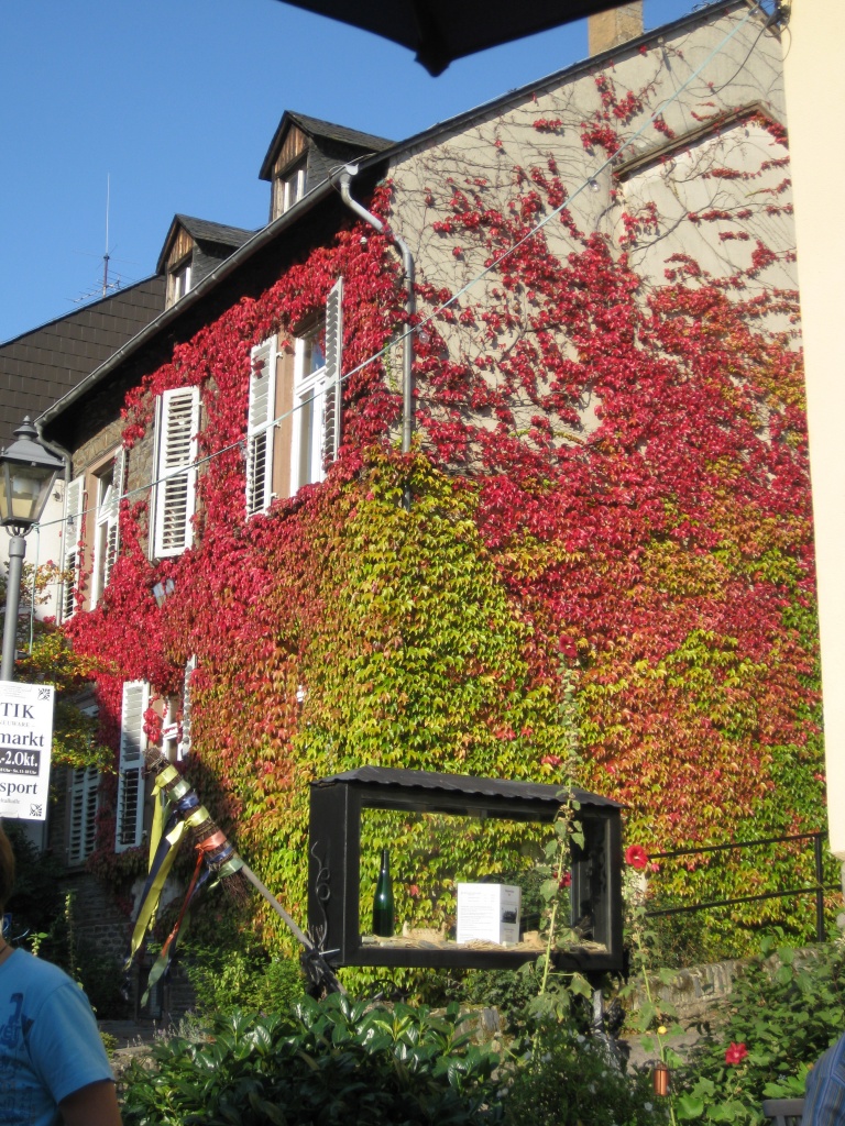 COULEURS D'AUTOMNES