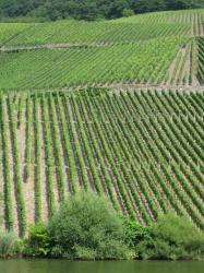 lahn-july-2013-446.jpg